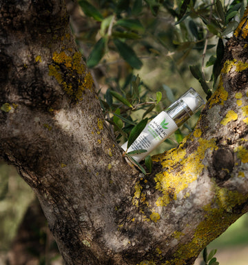 Esosomi dall’ulivo: l’innovazione naturale per la pelle